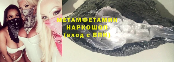прущие грибы Дмитров