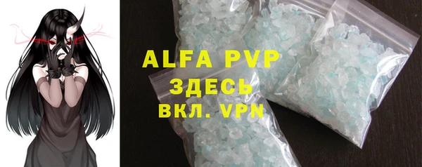 прущие грибы Дмитров