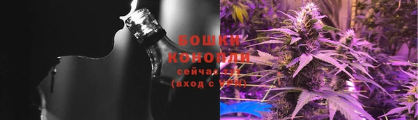 прущие грибы Дмитров