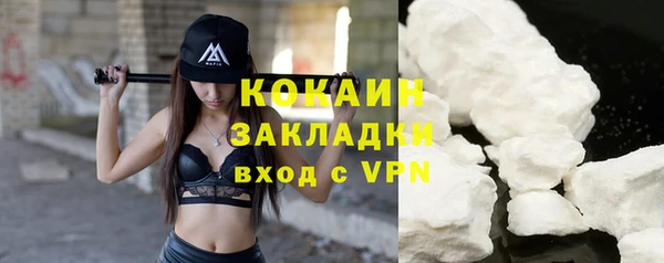 прущие грибы Дмитров