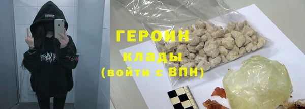 прущие грибы Дмитров