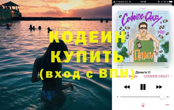 прущие грибы Дмитров